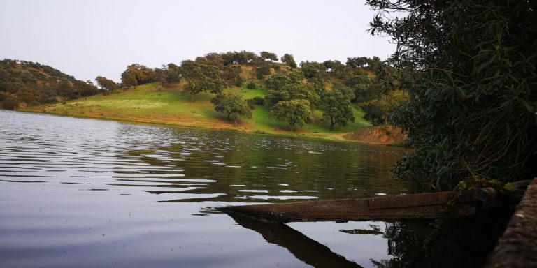 cacería de patos en España en entorno natural protegido