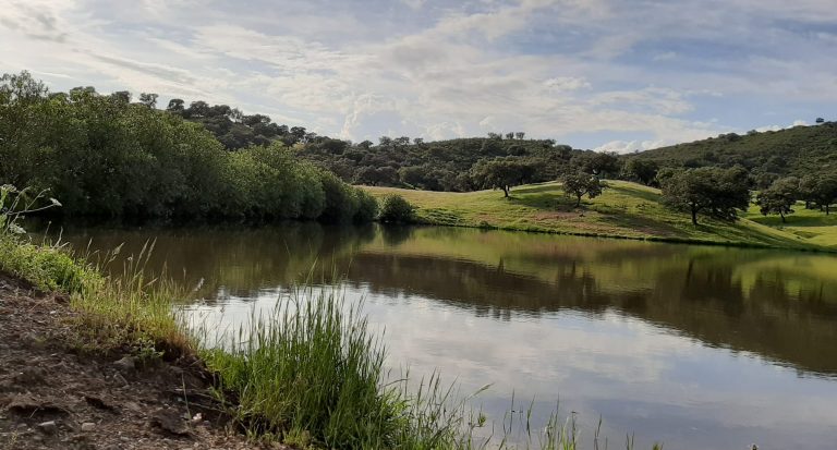 paisaje dehesa andaluza durante la cacería de patos
