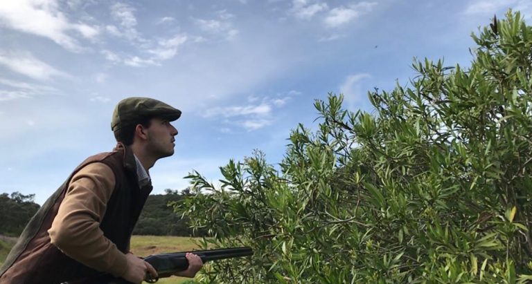 cacería de patos tradicional en España