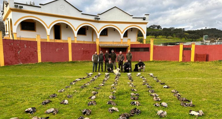 cacería de patos